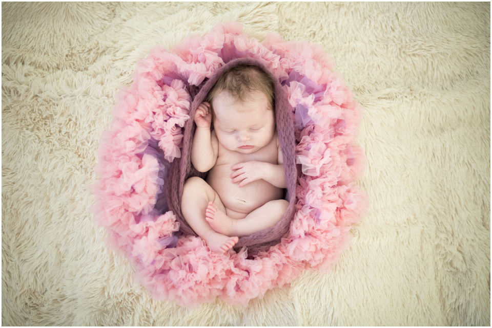 Camden Newborn Photographer, Camden Family Photographer, www.angieduncan.com.au